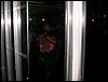 DSCN3045.JPG
